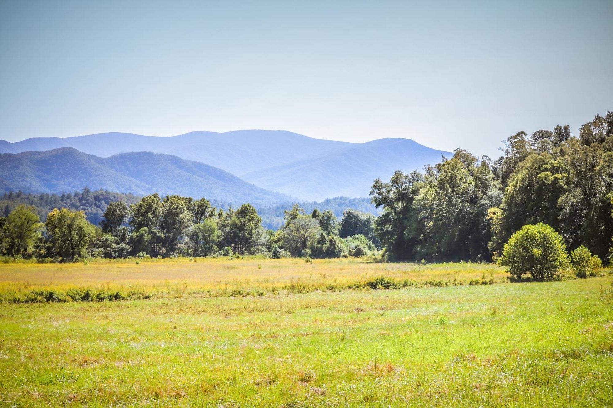 Hillbilly Highrise Villa Pigeon Forge Ngoại thất bức ảnh